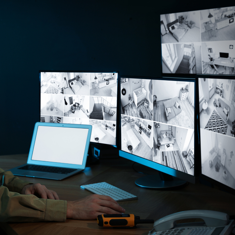 guvenlik kamerasi website 30