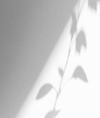 guvenlik kamerasi website 67